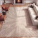 Willowshade Sunburst Abstract High-low Shag Area Rug