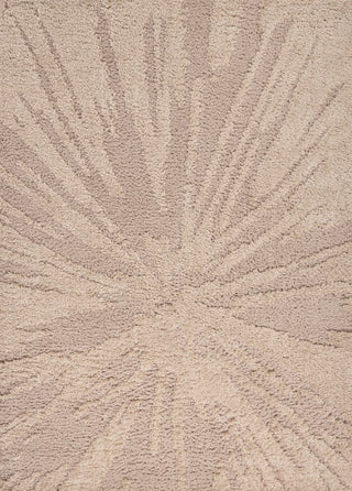 Willowshade Sunburst Abstract High-low Shag Area Rug
