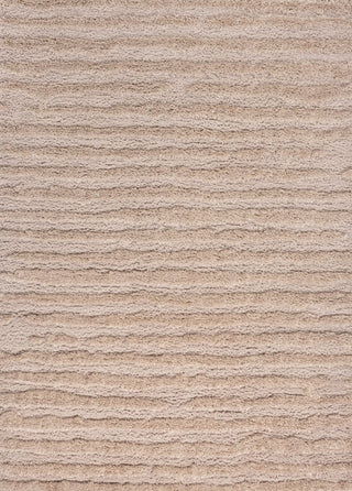 Earthyn Distressed Linear Stripe High-low Shag Area Rug