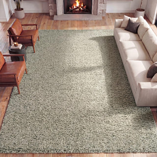 Veloura Modern Luxe Solid High-pile Shag Area Rug