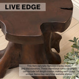 Velric 15.75" Rustic Modern Handcrafted Live Edge Solid Teak Wood Stump Stool