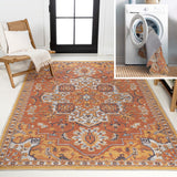 Langley Traditional Vintage Medallion Reversible Machine-Washable Indoor/Outdoor Area Rug