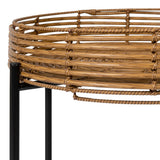 Zelo 20" Coastal Bohemian Faux Rattan Round Tray End Table with Metal Base