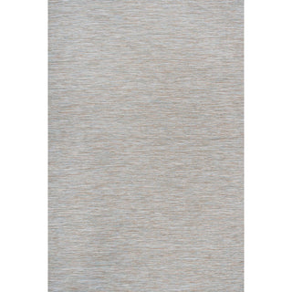 Nieleon Ethan Modern Flatweave Solid Indoor/Outdoor Area Rug