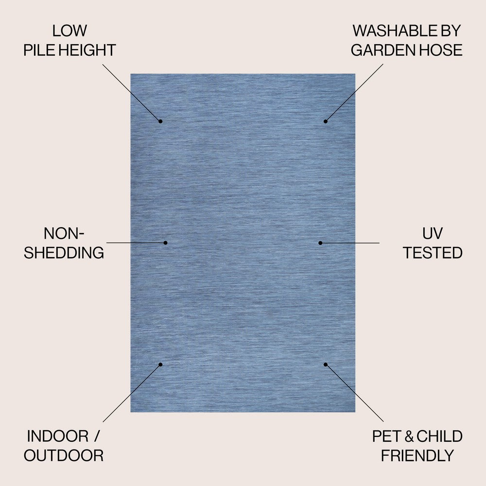 Nieleon Ethan Modern Flatweave Solid Indoor/Outdoor Area Rug