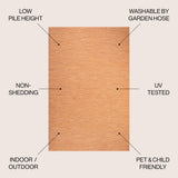 Nieleon Ethan Modern Flatweave Solid Indoor/Outdoor Area Rug