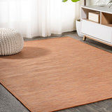 Nieleon Ethan Modern Flatweave Solid Indoor/Outdoor Area Rug