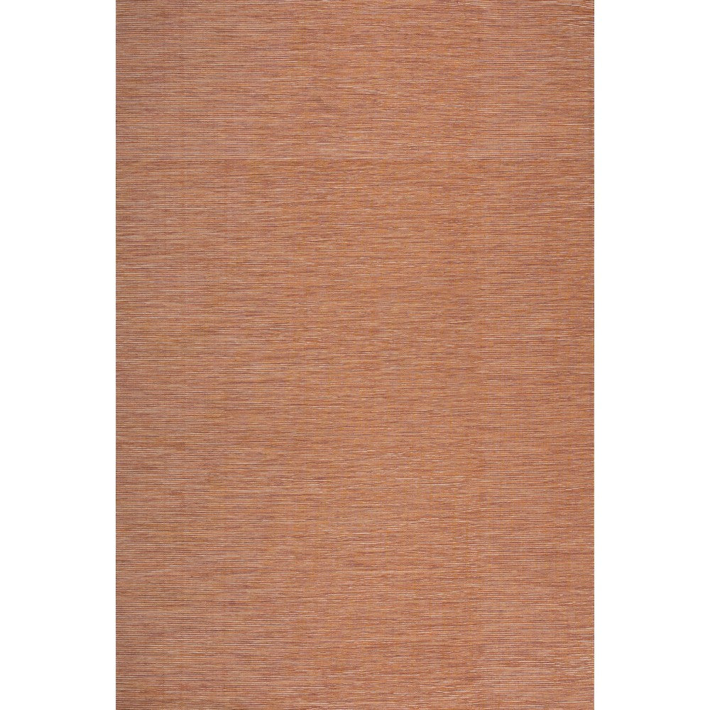 Nieleon Ethan Modern Flatweave Solid Indoor/Outdoor Area Rug