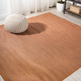 Nieleon Ethan Modern Flatweave Solid Indoor/Outdoor Area Rug
