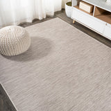 Nieleon Ethan Modern Flatweave Solid Indoor/Outdoor Area Rug