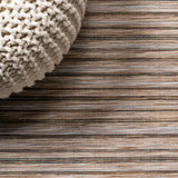 Aeran Finn Modern Farmhouse Pinstripe Indoor/Outdoor Area Rug