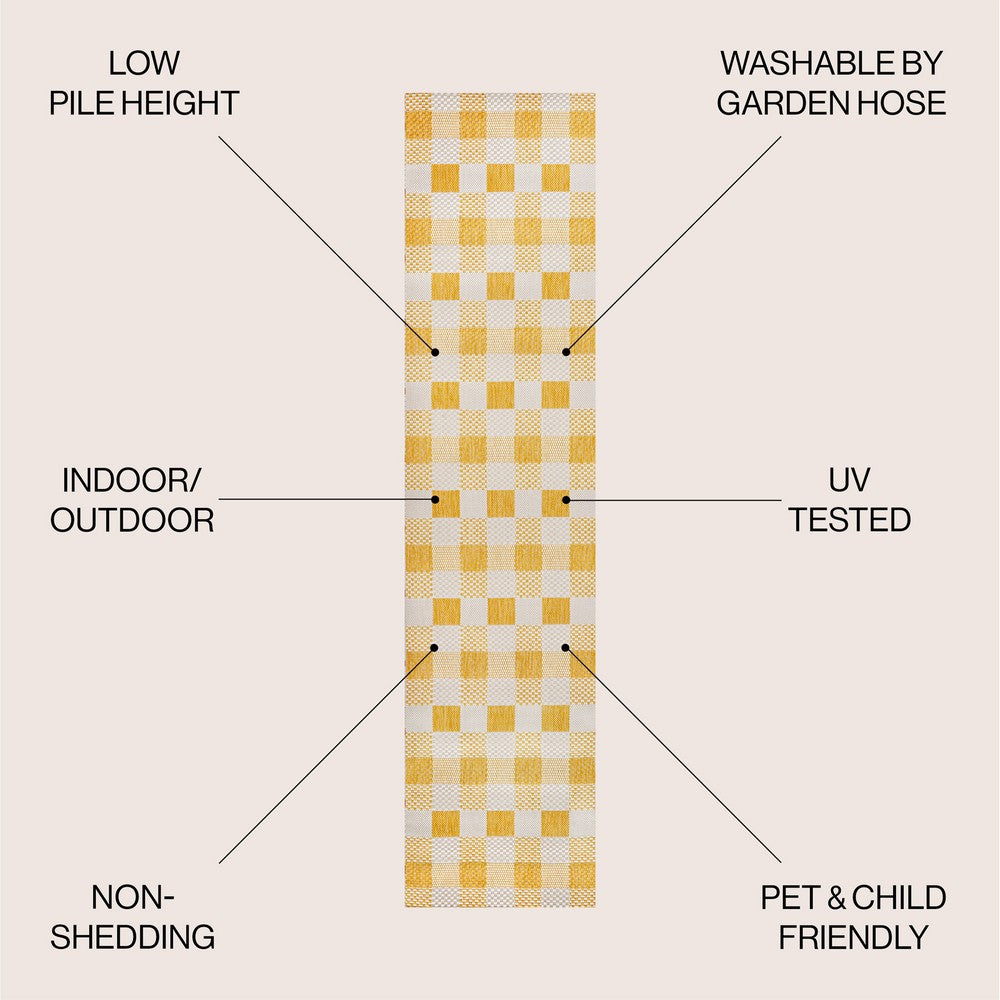 Courtyard Traditional Geometric Bold Gingham Indoor/Outdoor Area Rug