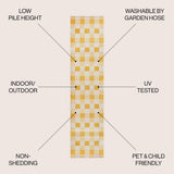 Courtyard Traditional Geometric Bold Gingham Indoor/Outdoor Area Rug