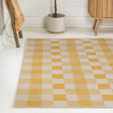 Courtyard Traditional Geometric Bold Gingham Indoor/Outdoor Area Rug