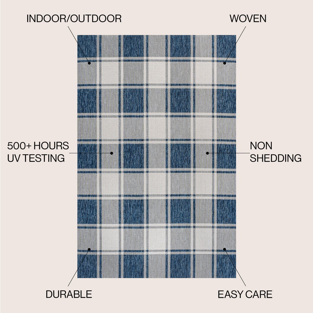 Acrylic Traditional Farmhouse Bold Gingham Indoor/Outdoor Area Rug
