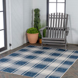 Acrylic Traditional Farmhouse Bold Gingham Indoor/Outdoor Area Rug