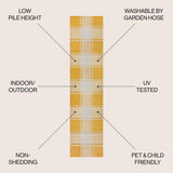 Acrylic Traditional Farmhouse Bold Gingham Indoor/Outdoor Area Rug