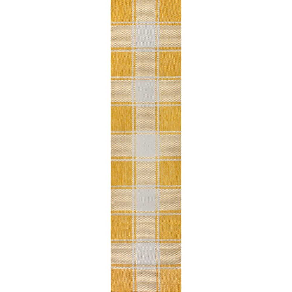 Acrylic Traditional Farmhouse Bold Gingham Indoor/Outdoor Area Rug