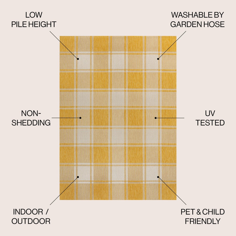 Acrylic Traditional Farmhouse Bold Gingham Indoor/Outdoor Area Rug