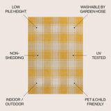Acrylic Traditional Farmhouse Bold Gingham Indoor/Outdoor Area Rug