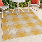 Acrylic Traditional Farmhouse Bold Gingham Indoor/Outdoor Area Rug