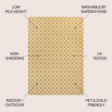 Laurel Traditional Cottage Checkerboard Indoor/Outdoor Area Rug