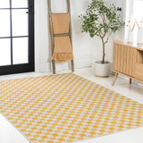 Laurel Traditional Cottage Checkerboard Indoor/Outdoor Area Rug