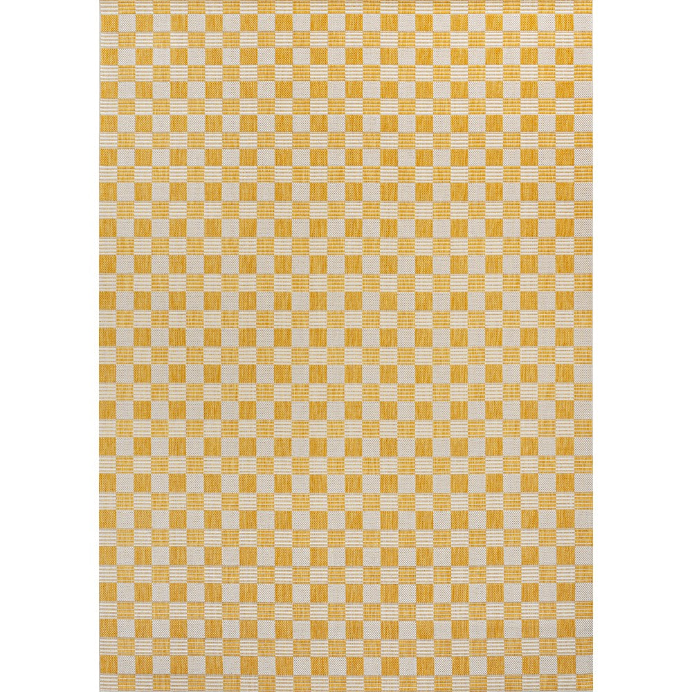 Laurel Traditional Cottage Checkerboard Indoor/Outdoor Area Rug