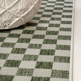 Laurel Traditional Cottage Checkerboard Indoor/Outdoor Area Rug