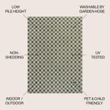 Laurel Traditional Cottage Checkerboard Indoor/Outdoor Area Rug
