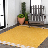 Zuri Modern Minimalist Mingled Indoor/Outdoor Area Rug