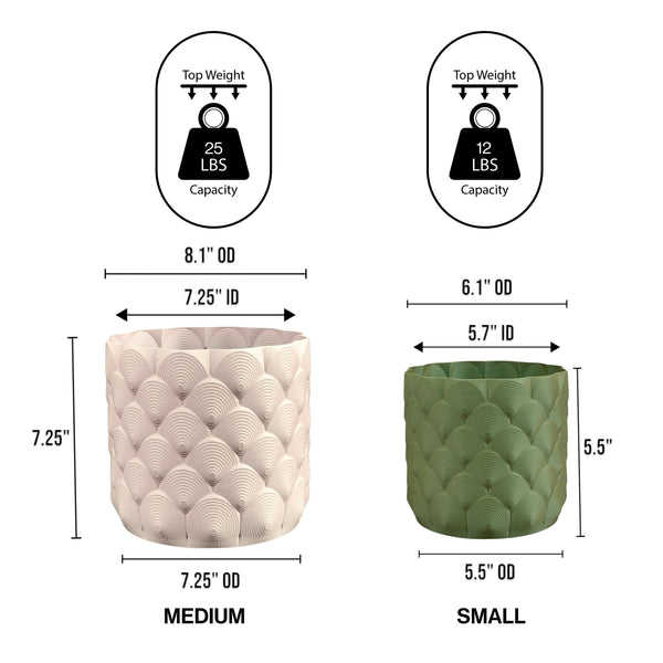 Dimension Image Beige