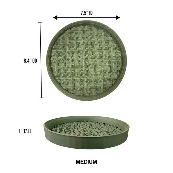 Dimension Image Green / 8.4