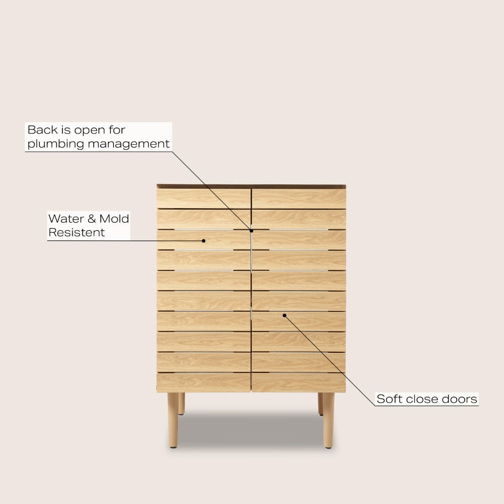 Daniel Modern 2-Shelf Bath Vanity Cabinet (Sink Basin not Included)