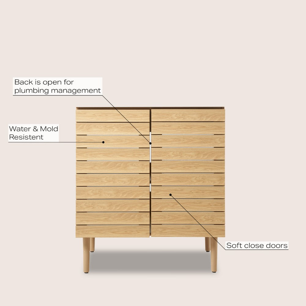 Daniel Modern 2-Shelf Bath Vanity Cabinet (Sink Basin not Included)