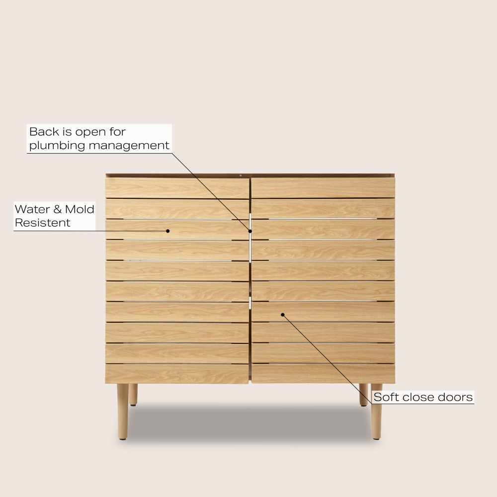 Daniel Modern 2-Shelf Bath Vanity Cabinet (Sink Basin not Included)