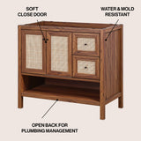 Orchid Rattan Modern Coastal 2-Shelf Bath Vanity Cabinet Only (Sink Basin Not Included)