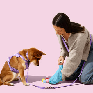 Extra Thick Leak-Proof Unscented Dog Poop Bags