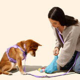 Extra Thick Leak-Proof Unscented Dog Poop Bags