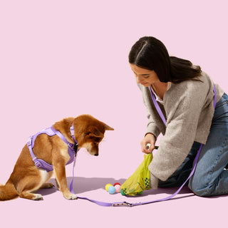 Biodegradable Extra Thick Leak-Proof Dog Poop Bags