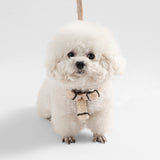 Nand Bouclé Adjustable H Harness and Leash Walk Set with Poop Bag Pouch