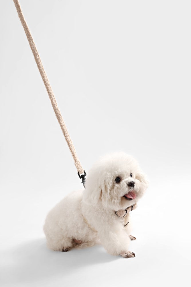 Nand Bouclé Adjustable H Harness and Leash Walk Set with Poop Bag Pouch