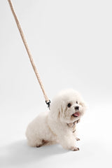 Nand Bouclé Adjustable H Harness and Leash Walk Set with Poop Bag Pouch