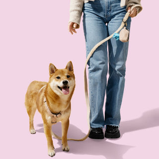 Nand Bouclé Adjustable H Harness and Leash Walk Set with Poop Bag Pouch