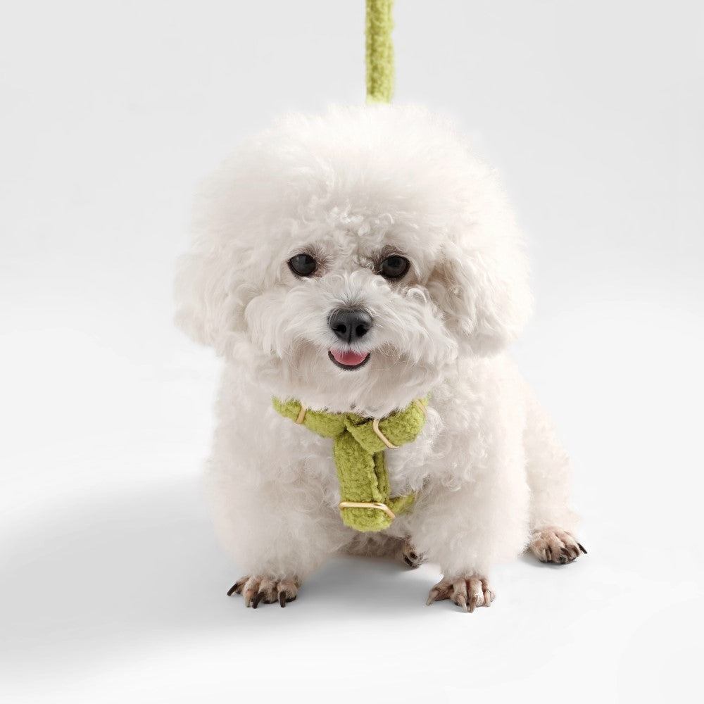 Nand Bouclé Adjustable H Harness and Leash Walk Set with Poop Bag Pouch