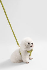 Nand Bouclé Adjustable H Harness and Leash Walk Set with Poop Bag Pouch