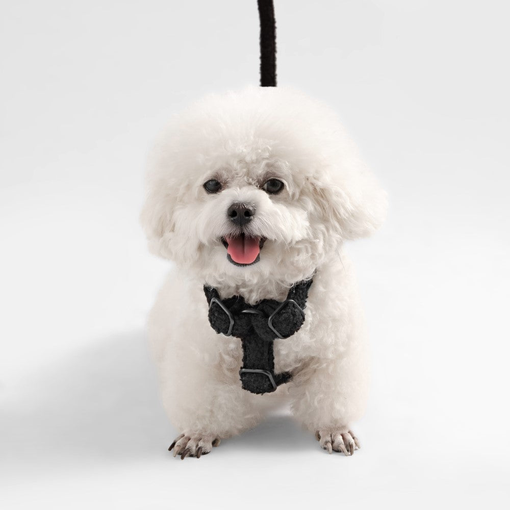 Nand Bouclé Adjustable H Harness and Leash Walk Set with Poop Bag Pouch