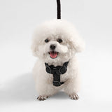 Nand Bouclé Adjustable H Harness and Leash Walk Set with Poop Bag Pouch