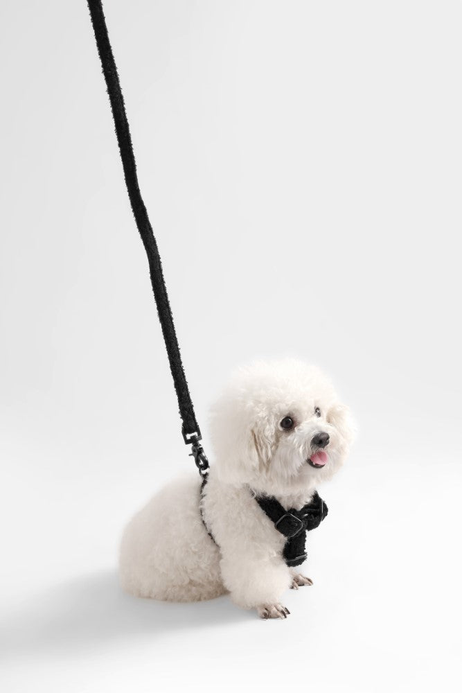 Nand Bouclé Adjustable H Harness and Leash Walk Set with Poop Bag Pouch