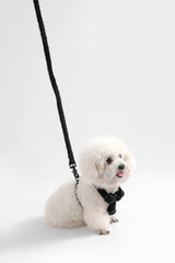 Nand Bouclé Adjustable H Harness and Leash Walk Set with Poop Bag Pouch